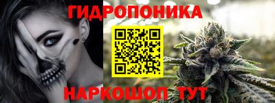 ПСИЛОЦИБИНОВЫЕ ГРИБЫ Абакан