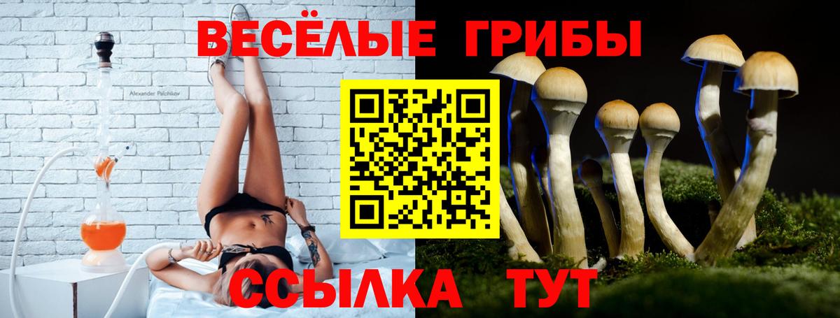 Анжеро-Судженск  как найти закладки  Вход с VPN  Галлюциногенные грибы Psilocybe 